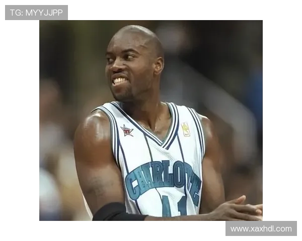 夏洛特黄蜂新赛季阵容解析前景展望与年轻核心成长方向