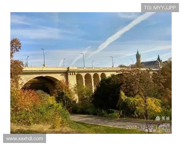 和睦法兰克福俱乐部凝聚城市精神谱写团结与奋斗的新篇章