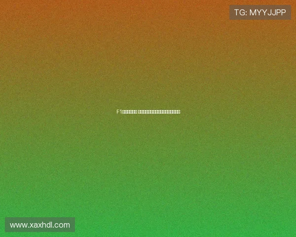 F1赛事激战不断 新车技术革新和车手动态引领赛季热潮