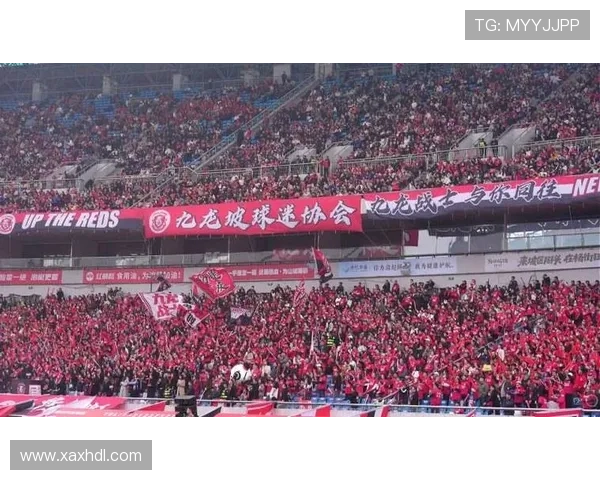 国家队主场上演精彩逆转夺冠全场球迷欢呼见证难忘夜晚激情四射瞬 国家队主场上演精彩逆转夺冠全场球迷欢呼见证难忘夜晚激情四射瞬